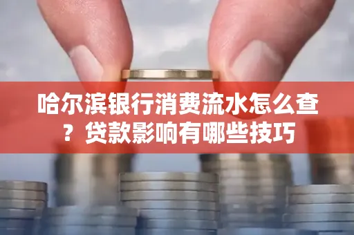 哈尔滨银行消费流水怎么查?贷款影响有哪些技巧